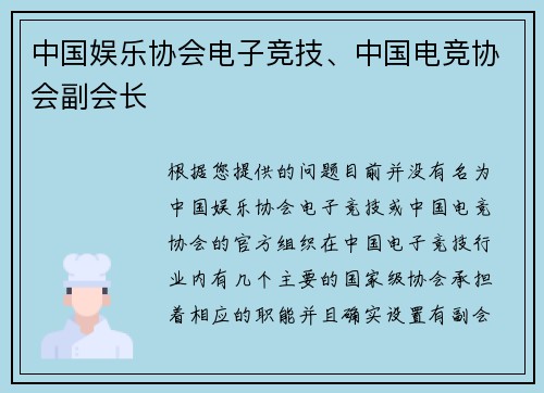 中国娱乐协会电子竞技、中国电竞协会副会长